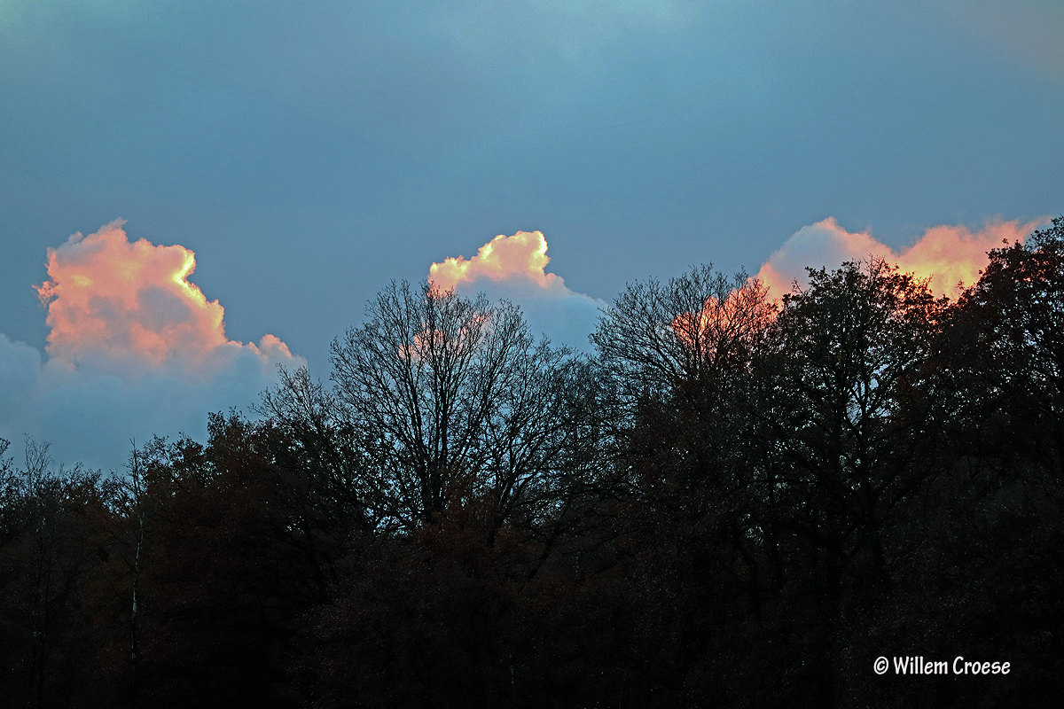 Einde van de middag – Weerplaatje – Willems Webstek